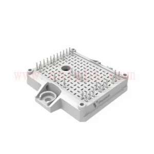 10-EY076PA100I7-L194F08T