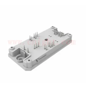 10-FY07LBA100S5-PG08J58T