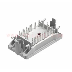 10-P006PPA020SB02-M685B30Y