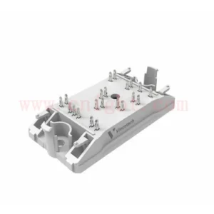 10-PZ07FCA100RG-LQ35L60Y