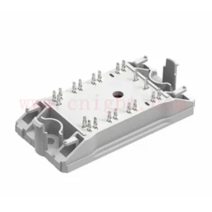 10-PZ07NBA100SM10-M305L68Y