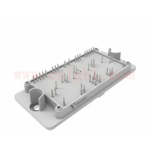 30-FT12B2A200H706-PK49L01