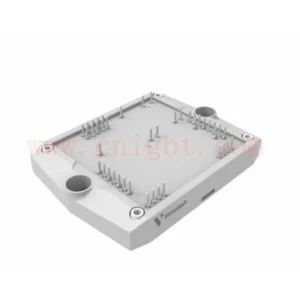 B0-SL10NIC600S701-PA39F48Z